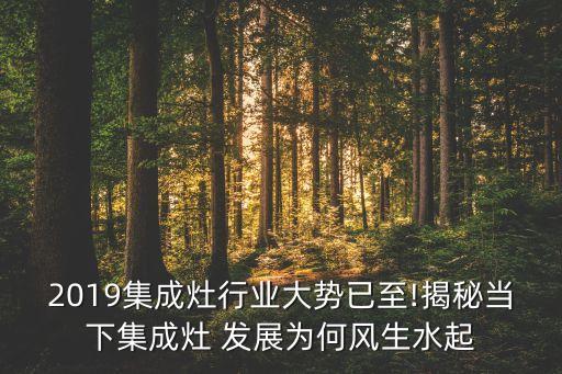 2019集成灶行业大势已至!揭秘当下集成灶 发展为何风生水起