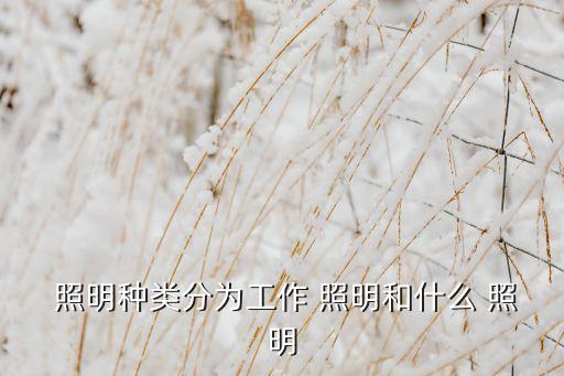 照明种类分为工作 照明和什么 照明