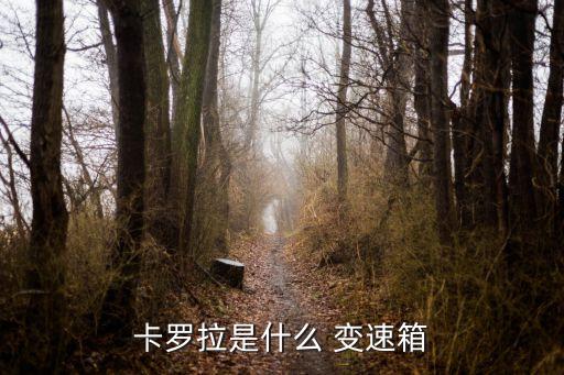 汽车变速箱行业网,汽车自动变速箱功能增加三大优点