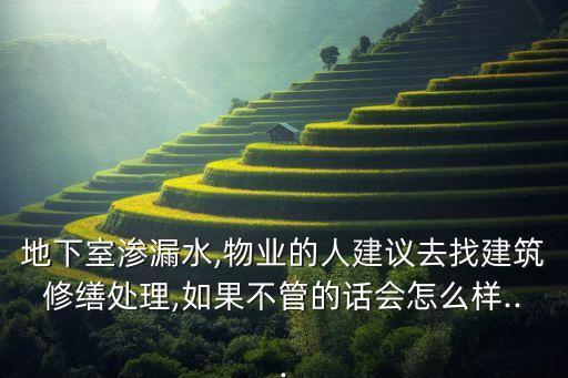 地下室渗漏水,物业的人建议去找建筑修缮处理,如果不管的话会怎么样...