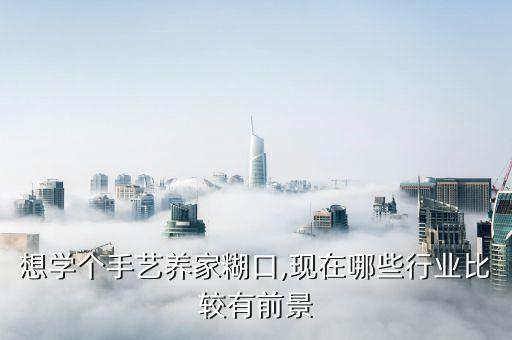 想学个手艺养家糊口,现在哪些行业比较有前景