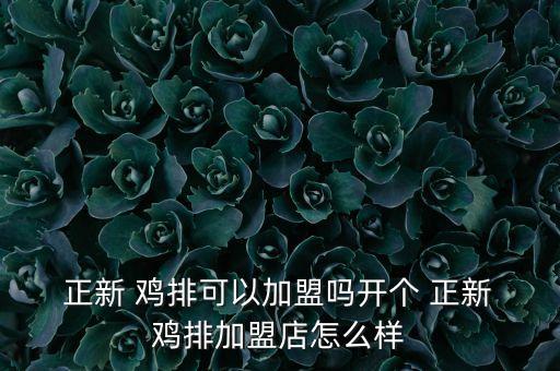 正新鸡排的行业背景,正新鸡排加盟费不高几万块就能创业