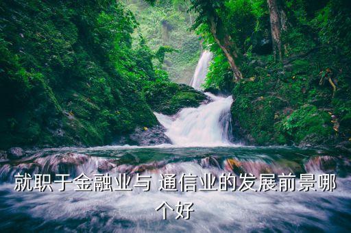 就职于金融业与 通信业的发展前景哪个好