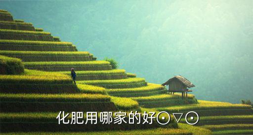  化肥用哪家的好⊙▽⊙