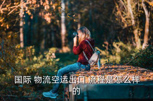  国际 物流空运出口 流程是怎么样的