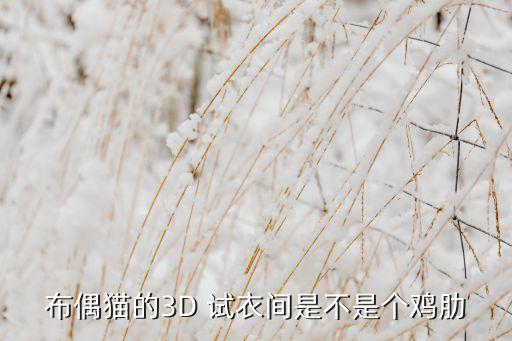 布偶猫的3D 试衣间是不是个鸡肋