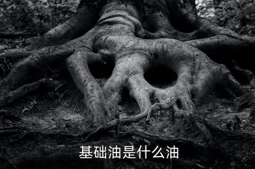  基础油是什么油