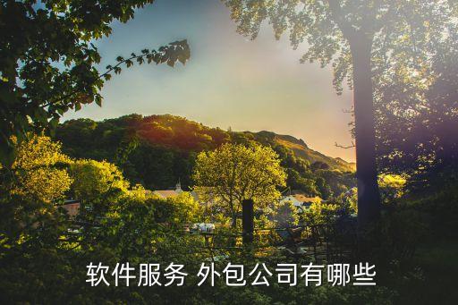 电梯行业管理软件外包,软件service外包需要注意什么?