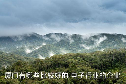 电子行业公司有哪些,厦门电子企业哪些比较好?