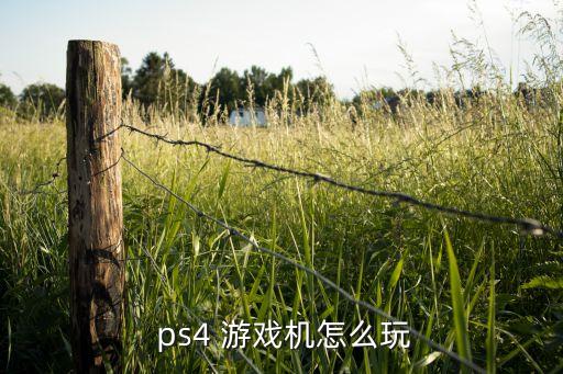  ps4 游戏机怎么玩