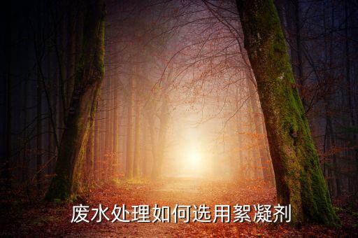  废水处理如何选用絮凝剂