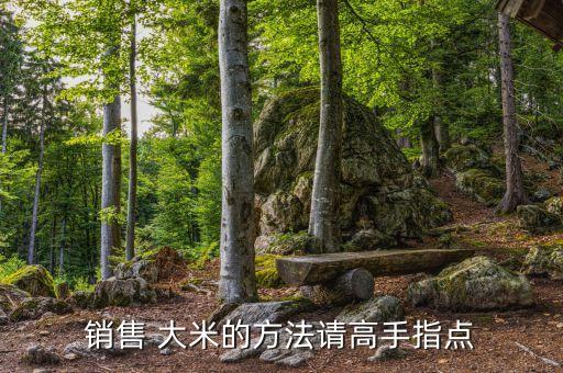 卖大米行业,如何进行理财投资?