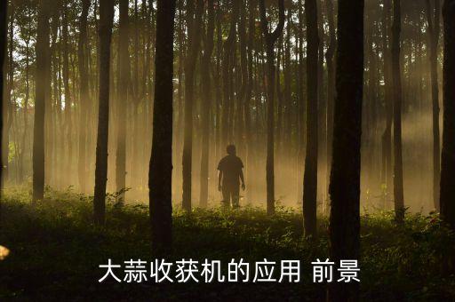  大蒜收获机的应用 前景