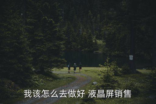 我该怎么去做好 液晶屏销售