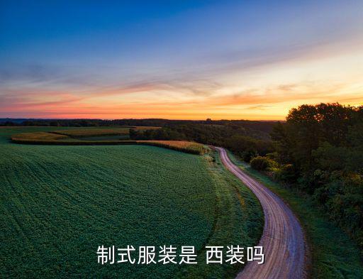 制式服装是 西装吗