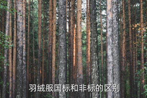  羽绒服国标和非标的区别