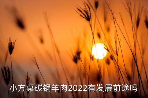 小方桌碳锅羊肉2022有发展前途吗