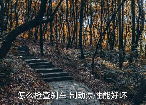 怎么检查刹车 制动泵性能好坏