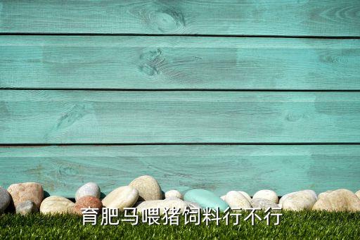  育肥马喂猪饲料行不行
