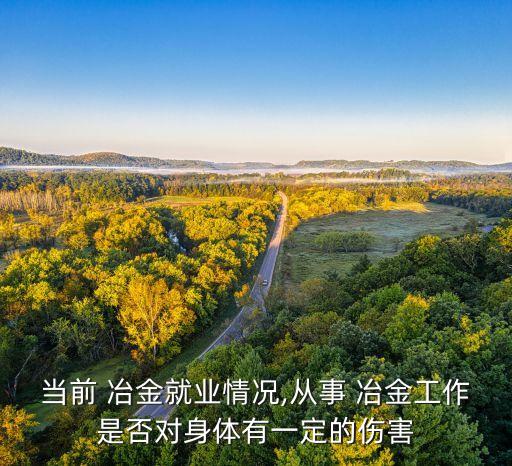当前 冶金就业情况,从事 冶金工作是否对身体有一定的伤害