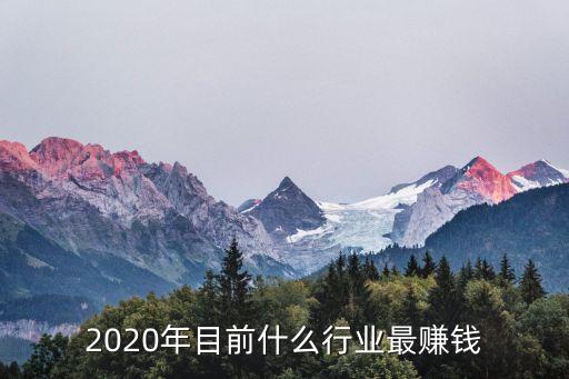 2020年目前什么行业最赚钱