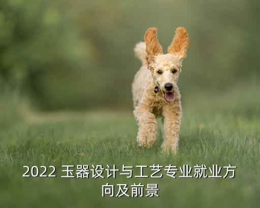 2022 玉器设计与工艺专业就业方向及前景