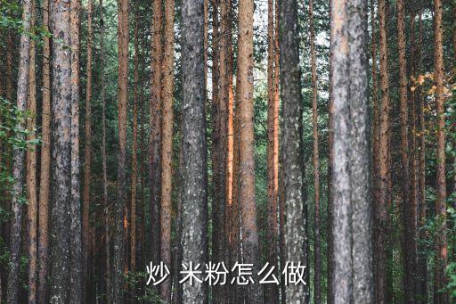 炒 米粉怎么做