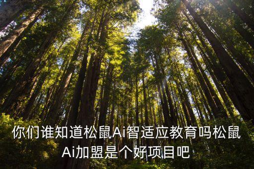 你们谁知道松鼠Ai智适应教育吗松鼠Ai加盟是个好项目吧