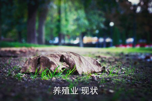 养殖业 现状