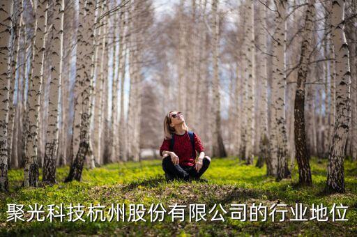 监测器材行业,人工检测环境监测仪器行业市场份额排名第一