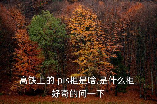 高铁上的 pis柜是啥,是什么柜,好奇的问一下