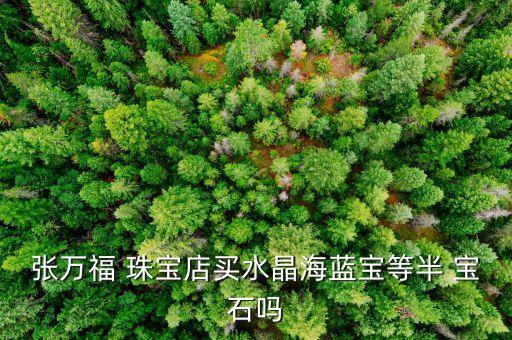 张万福 珠宝店买水晶海蓝宝等半 宝石吗