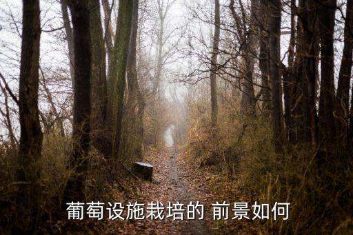 葡萄设施栽培的 前景如何