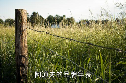 阿道夫的品牌年表