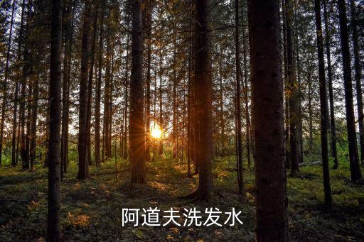 阿道夫洗发水