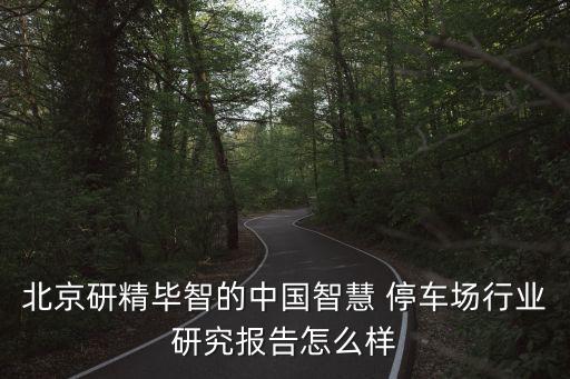 北京研精毕智的中国智慧 停车场行业研究报告怎么样