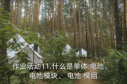 作业活动11.什么是单体 电池、 电池模块、 电池 模组