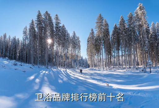 卫浴品牌排行榜前十名