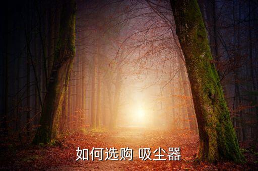 如何选购 吸尘器