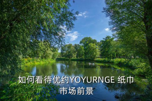 如何看待优约YOYURNGE 纸巾 市场前景