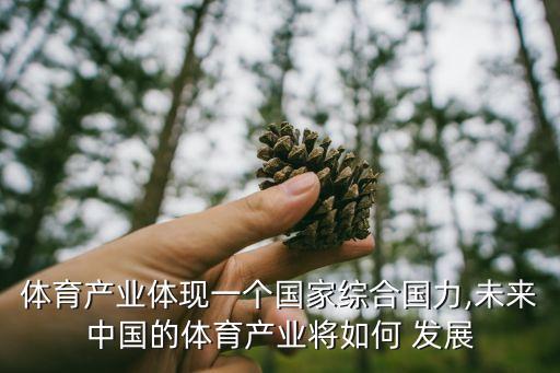 中国运动行业发展,调查:30%中国青少年曾经参与冰雪运动