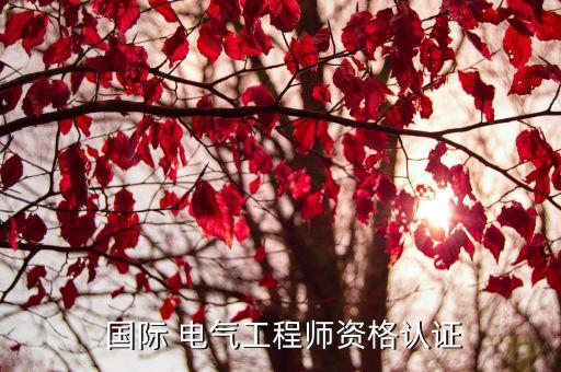  国际 电气工程师资格认证