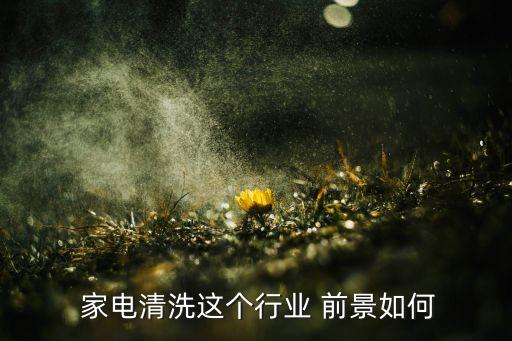 家电行业的行业前景,家电保洁行业的发展趋势