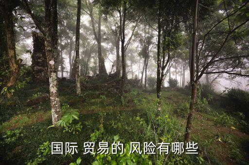 国际 贸易的 风险有哪些