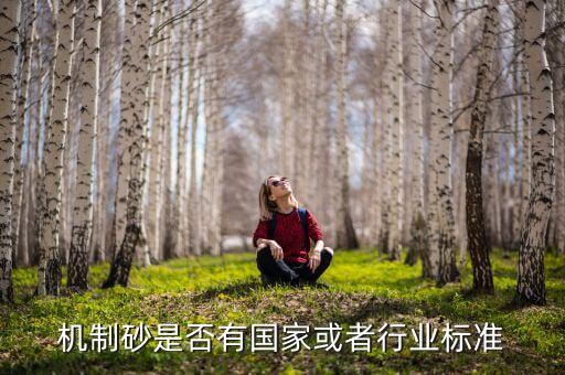 行业砂规范,《国家战略性新兴产业发展规划》砂石分类表