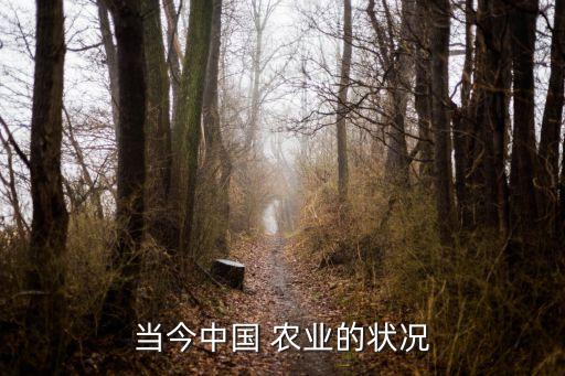 当今中国 农业的状况