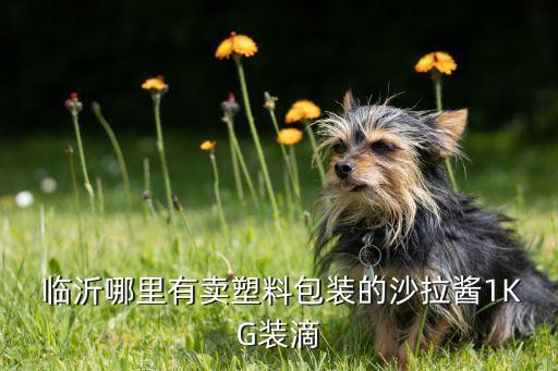  临沂哪里有卖塑料包装的沙拉酱1KG装滴