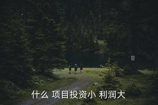 什么 项目投资小 利润大