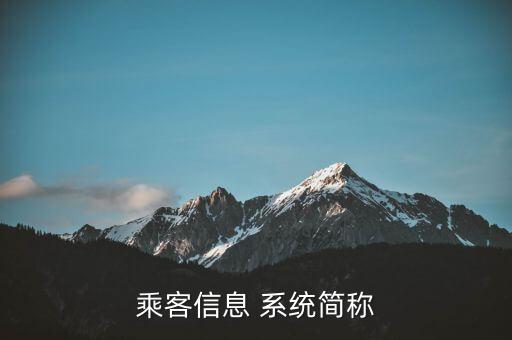 乘客信息 系统简称