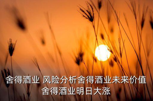 酒类销售行业风险,舍得酒业的股票走势在白酒板块非常好